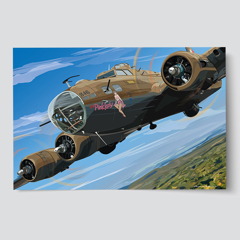 B17 - Pink Lady