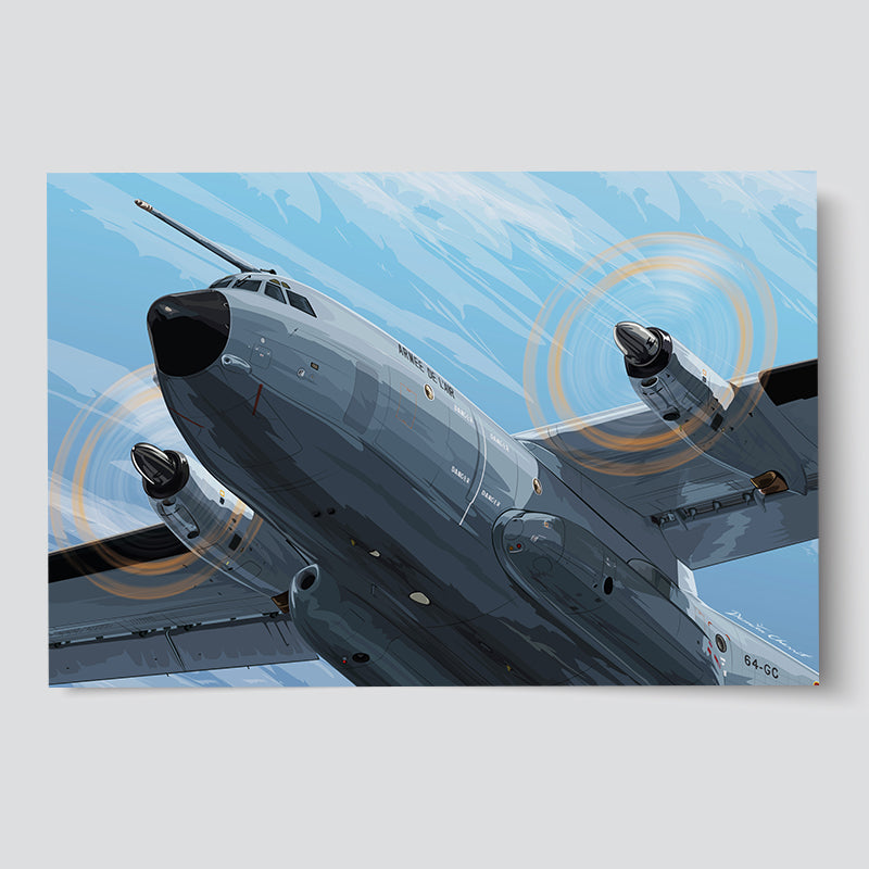 Transall C160 - The little giant of the air