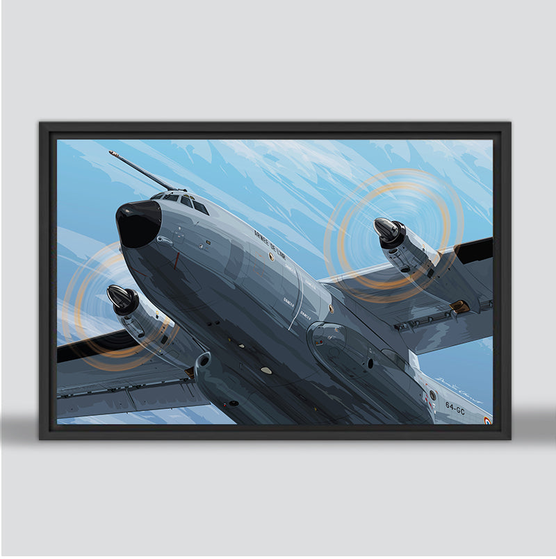 Transall C160 - The little giant of the air